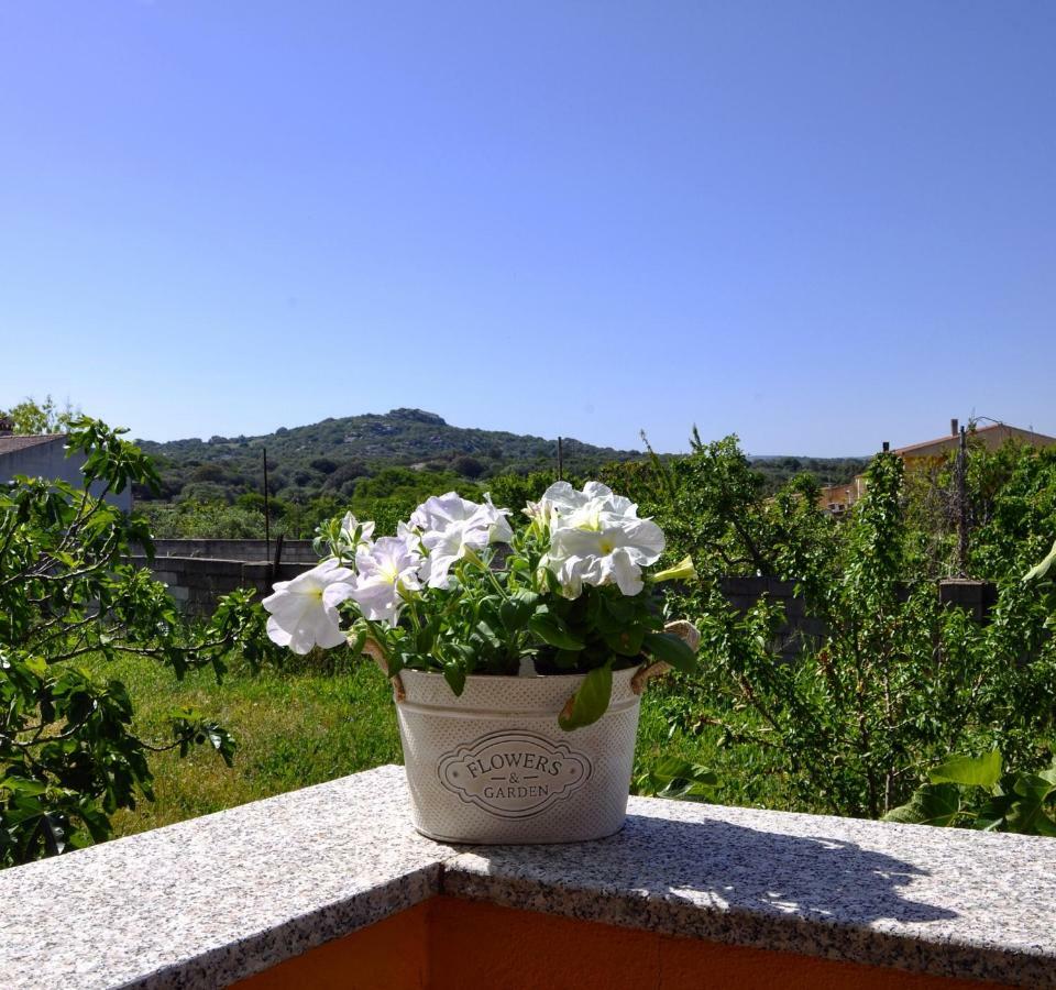 Casa Duminicheddha, Mare E Relax In Gallura * Bassacutena